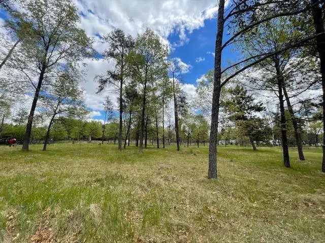 312 York Court, Nekoosa, WI 54457 - #3