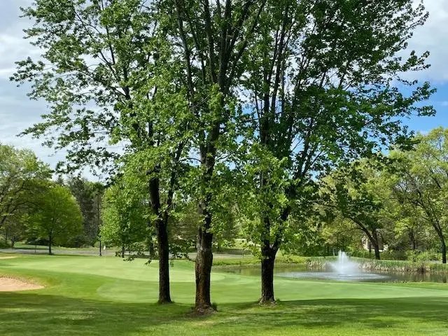 457 Duffers Trail, Nekoosa, WI 54457 - #1