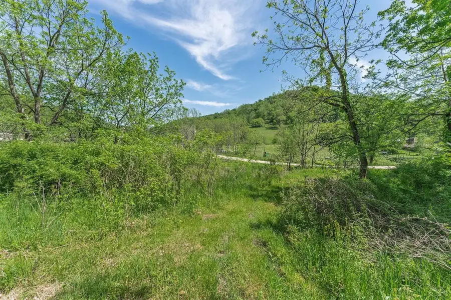 Dog Hollow Road, Cazenovia, WI 53924 - #2