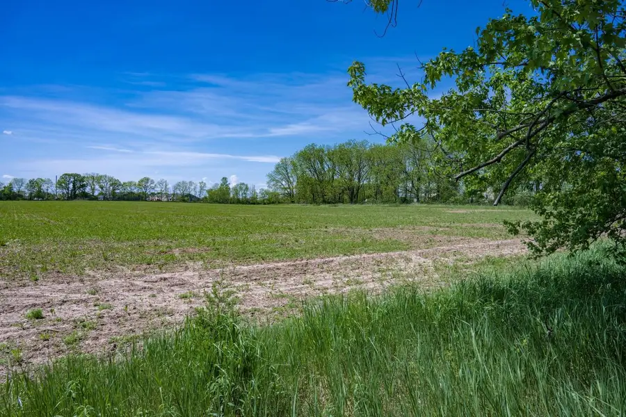 31.94 Acres Taylor Road, New Lisbon, WI 53950 - #3