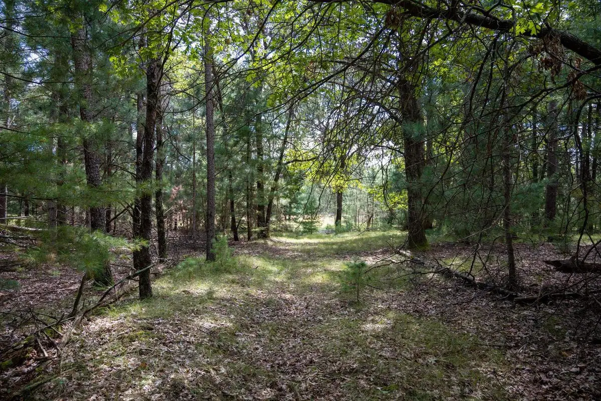 Lot 4 Meadow Drive, New Lisbon, WI 53950 - #1