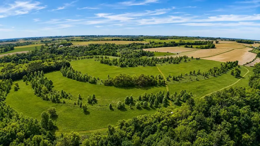 50 +/- Acres Ley Road, Mineral Point, WI 53565 - #3