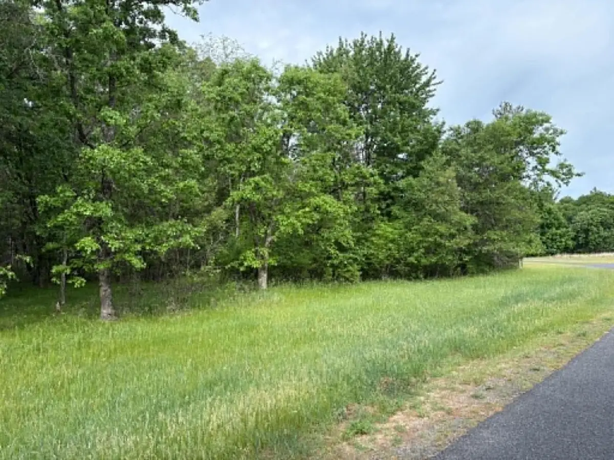 Lot 13 19th Boulevard, Friendship, WI 53934 - #1