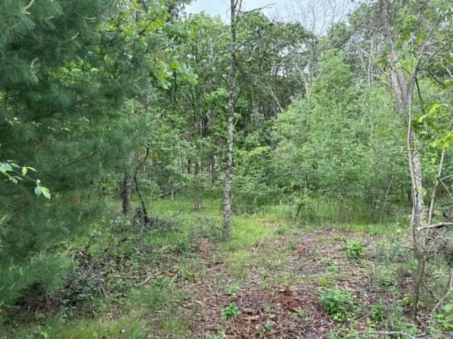 Lot 13 19th Boulevard, Friendship, WI 53934 - #2
