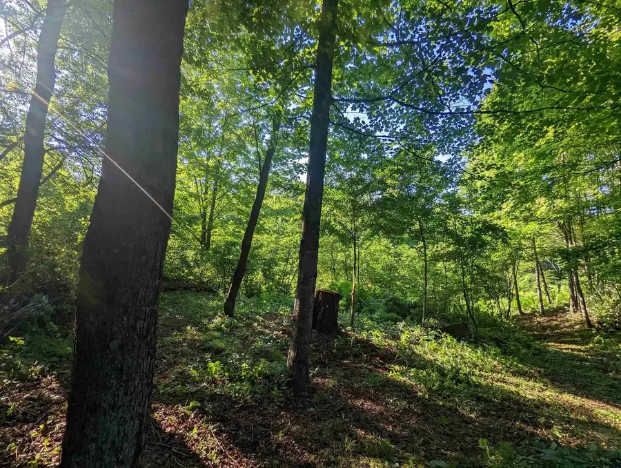 4.44 ACRES TROUT Road, Wisconsin Dells, WI 53965 - #2