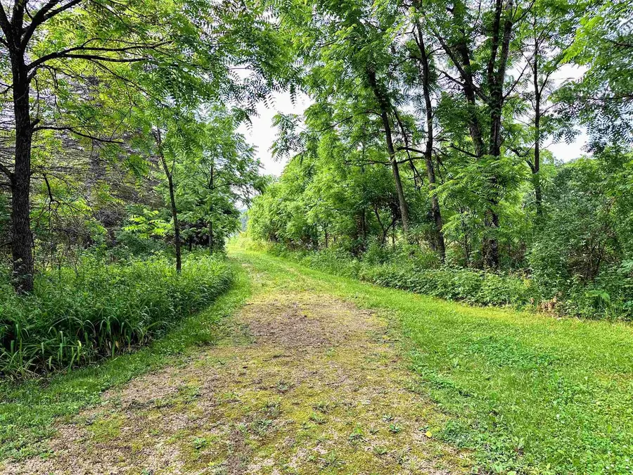 58050 Hwy 171 Street, Ferryville, WI 54628 - #3