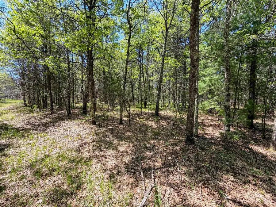 W5981 9th Street, Necedah, WI 54646 - #3
