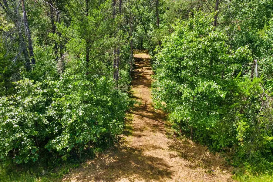 429 Duffers Trail, Nekoosa, WI 54457 - #2