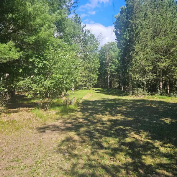 Lot 1 Woodland Avenue, Montello, WI 53949
