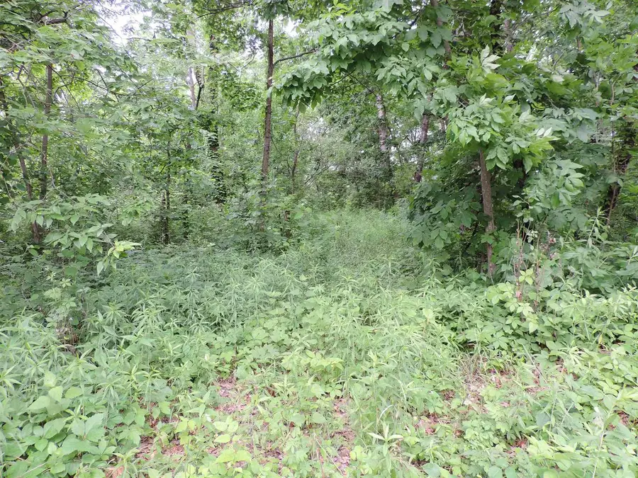 17840 Circle Drive, Boscobel, WI 53805 - #2