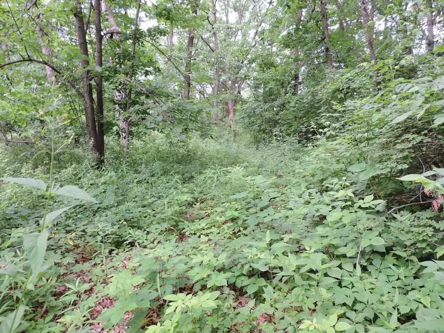 17840 Circle Drive, Boscobel, WI 53805 - #3