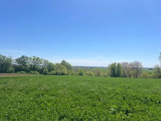 L1 Ervins Way, Waunakee, WI 53597 - #2
