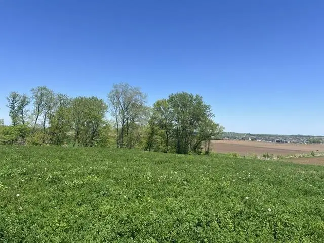 L1 Ervins Way, Waunakee, WI 53597 - #3