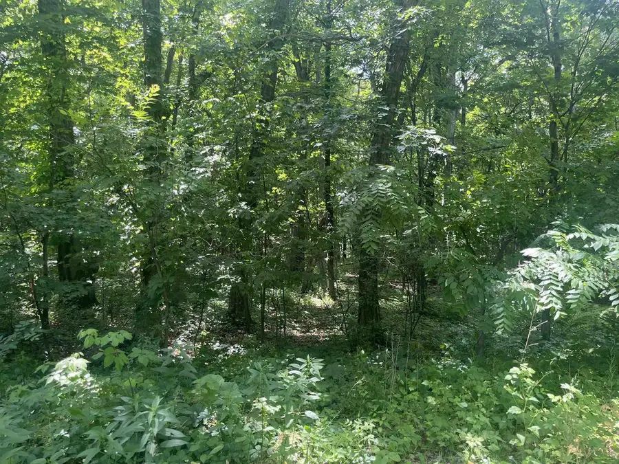 Lots 10 & 11 Oak Hill Estate East Street, Mauston, WI 53948 - #3