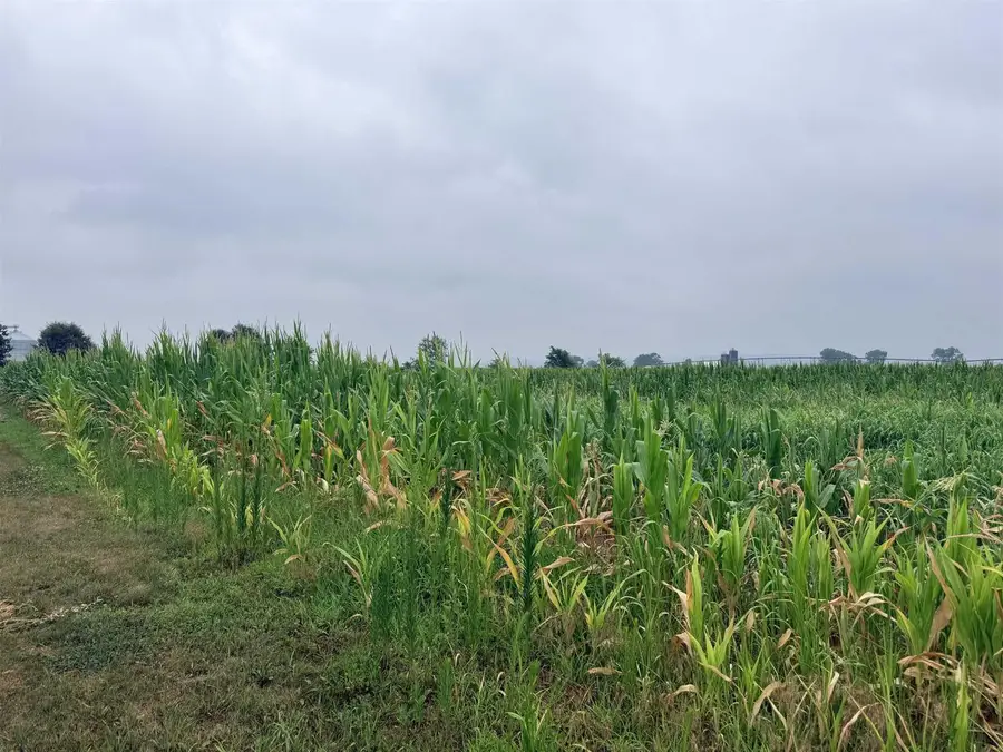 16.03 Acres Dennis Court, Prairie Du Sac, WI 53578 - #3
