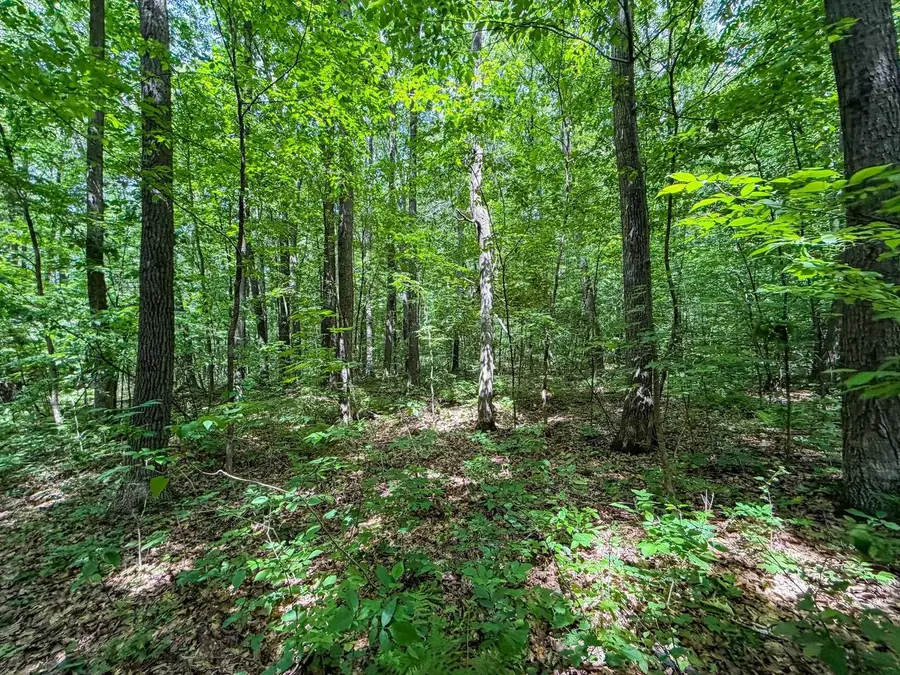 0000 Cloverdale Road, Thorp, WI 54771 - #2