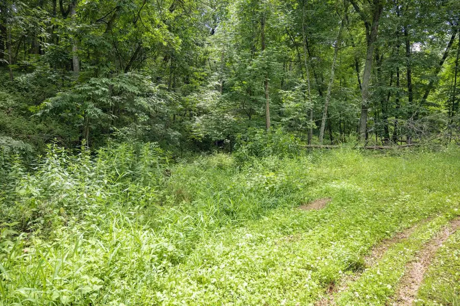 Lot 971 Tin Cup Court, La Valle, WI 53941 - #2