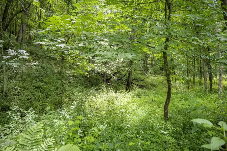Lot 971 Tin Cup Court, La Valle, WI 53941 - #3