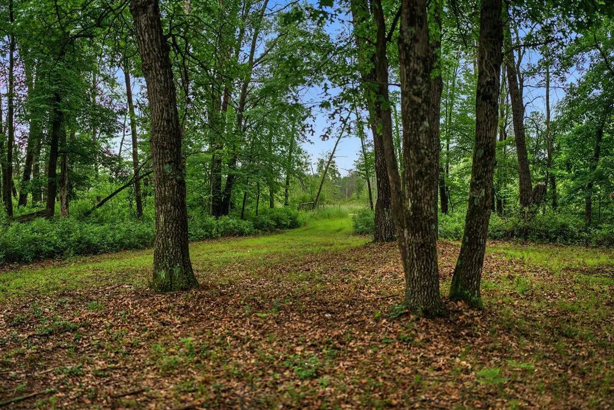 20 Acres Badger Avenue, Nekoosa, WI 54457 - #1