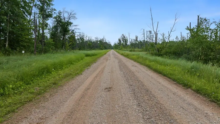 20 Acres Badger Avenue, Nekoosa, WI 54457 - #2
