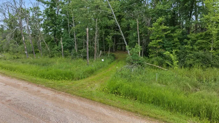 20 Acres Badger Avenue, Nekoosa, WI 54457 - #3