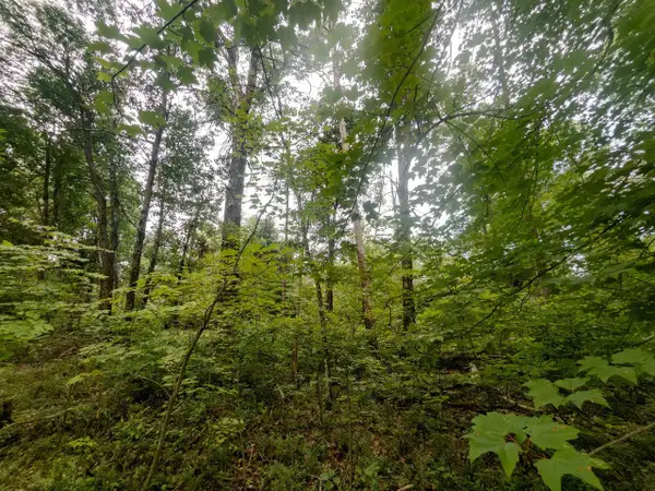 4.96ac 12th Street E, Necedah, WI 54646