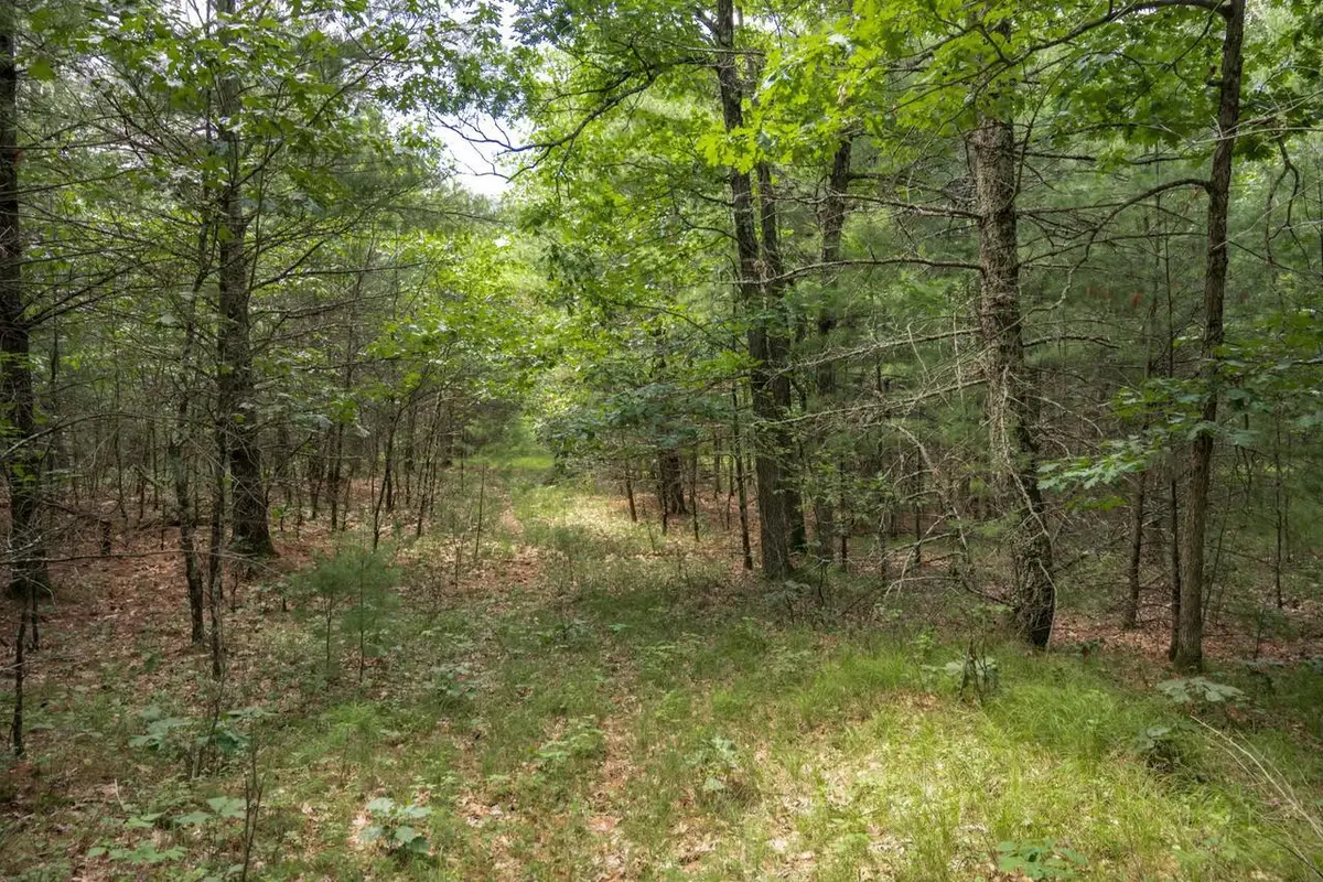 1617 20th Avenue, Arkdale, WI 54613 - #1