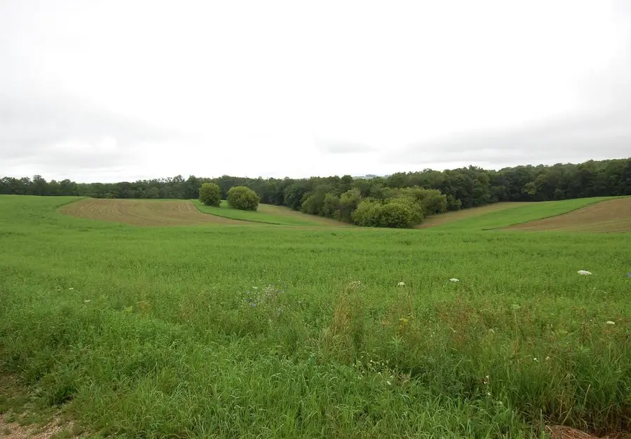 999 Halverson Ridge Road, Soldiers Grove, WI 54655 - #3