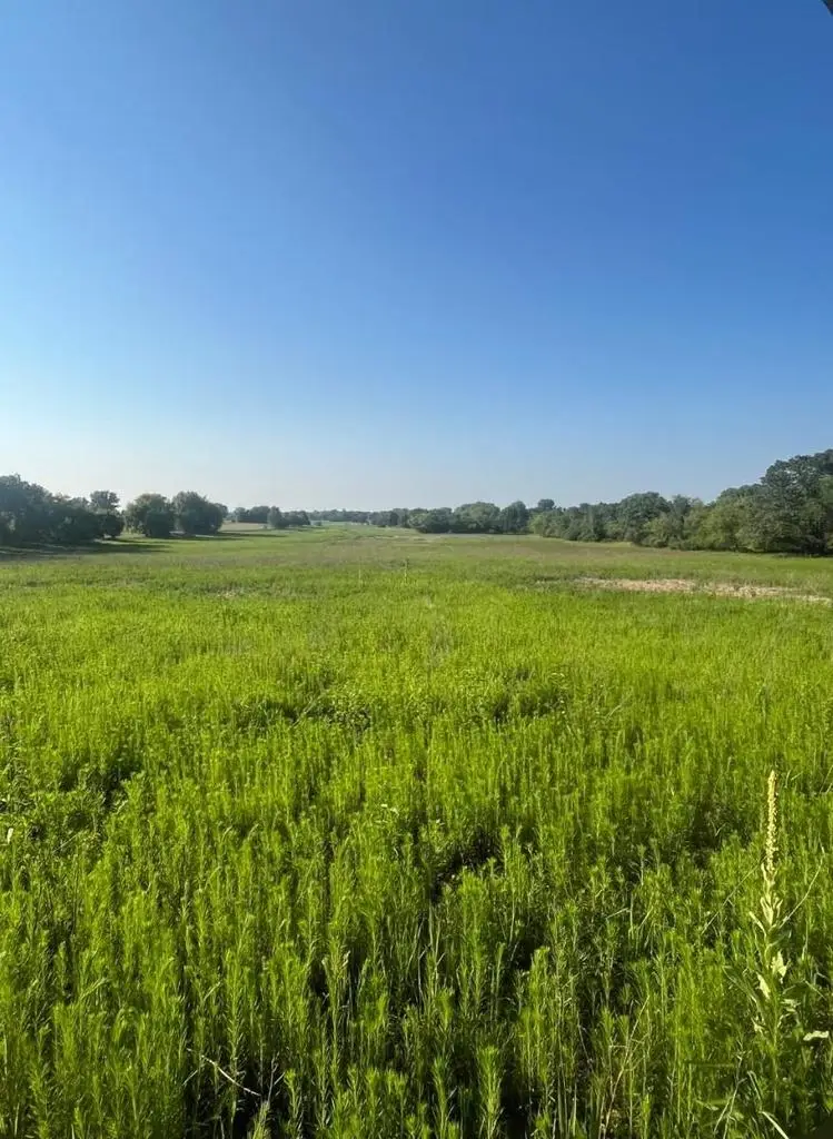 NW Cumberland Street, Berlin, WI 54923 - #1