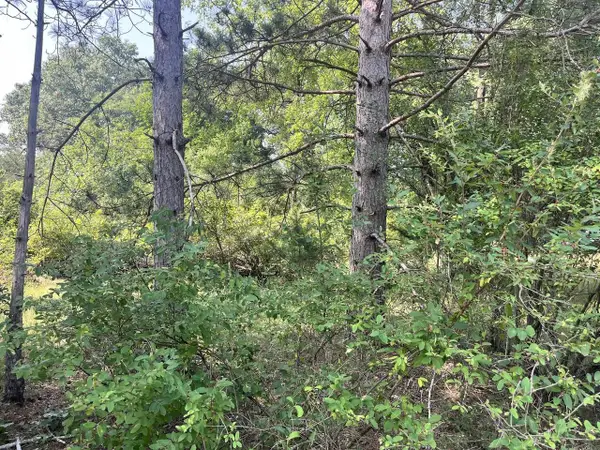 Lot 16 S Czech Court, Friendship, WI 53934