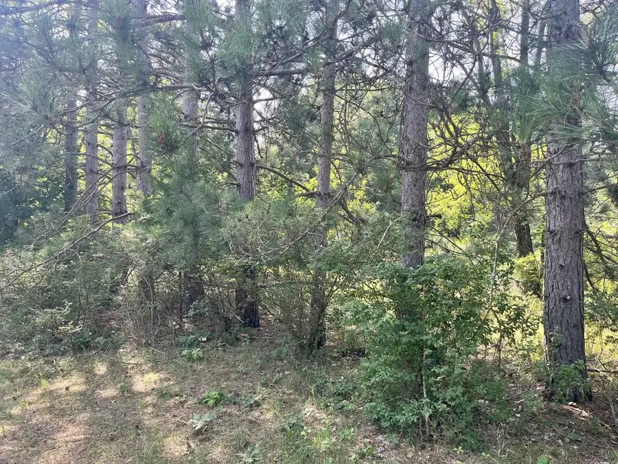Lot 16 S Czech Court, Friendship, WI 53934 - #3