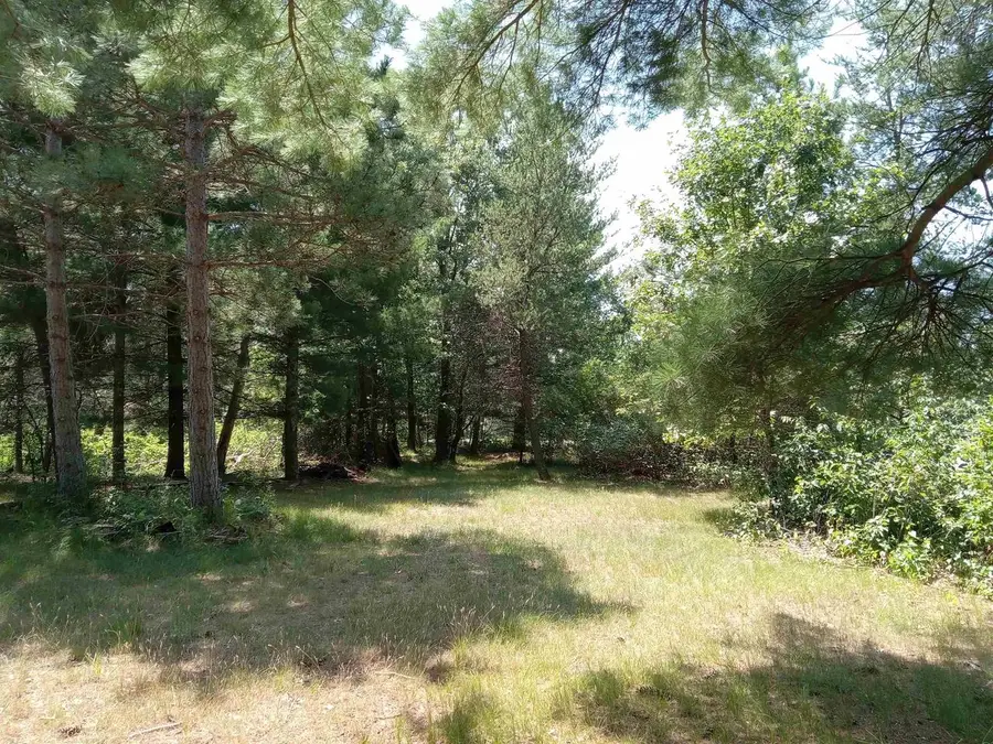 419 Sir Winston Trail, Nekoosa, WI 54457 - #3