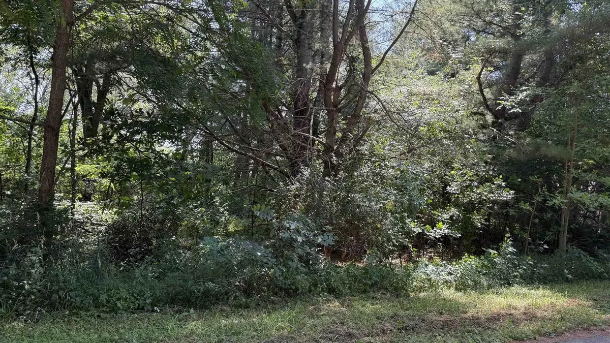 .27 Acre Lot Gem Court, Wisconsin Dells, WI 53965 - #1