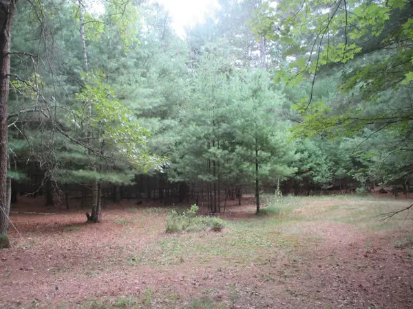W5682 Meiller Road, Montello, WI 53949