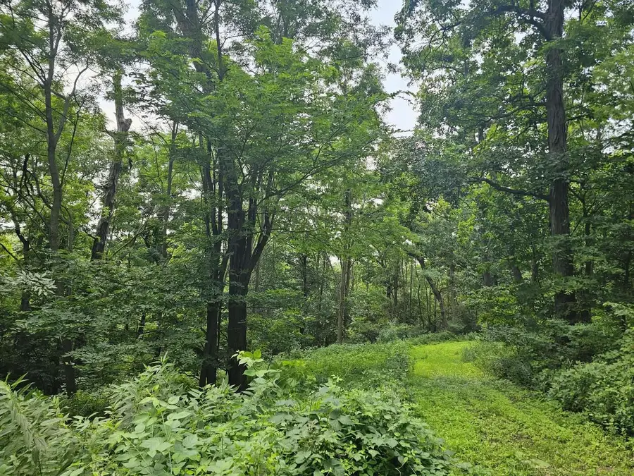 65864 Chandler Road, De Soto, WI 54624 - #2