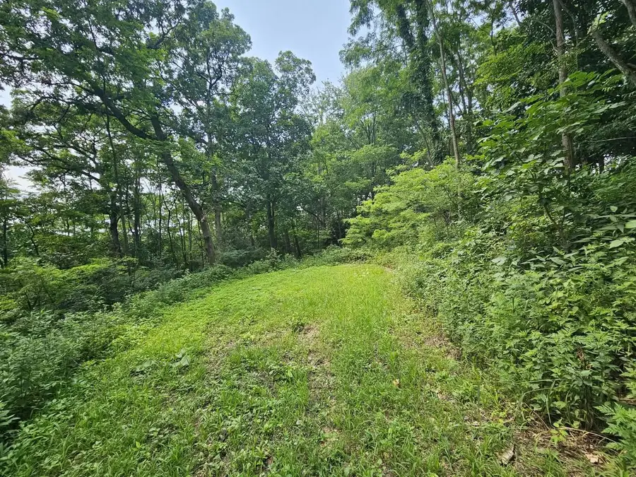 65864 Chandler Road, De Soto, WI 54624 - #3