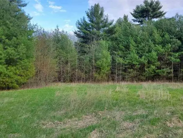 9.732 acres E Flint Street, Lyndon Station, WI 53944
