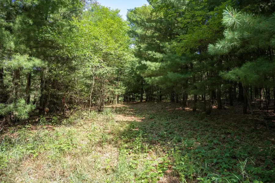 9.73 acres E Flint Street, Lyndon Station, WI 53944 - #3