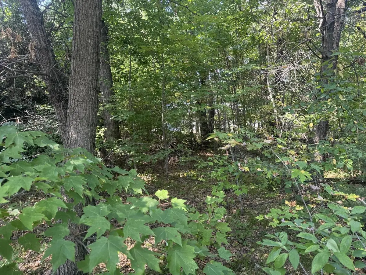 250 White Oak Lane, Wisconsin Dells, WI 53965 - #1