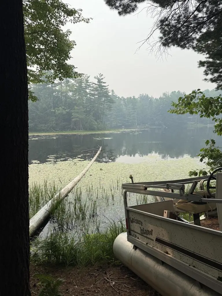 N8840 W Pickerel Lake Road, Gleason, WI 54435 - #1