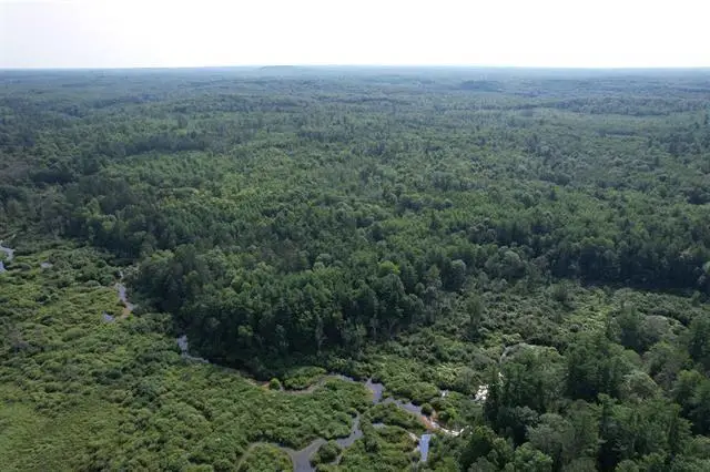 80 Acres Copper Mine Road, Gordon, WI 54838 - #1