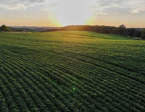 40.22 Acres Stump Ridge Road, Viroqua, WI 54665