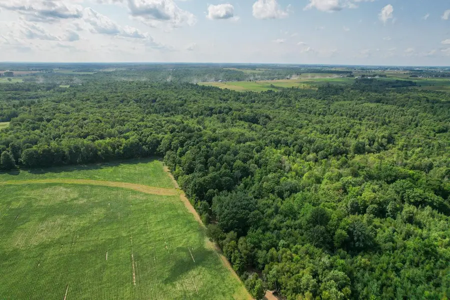0000 Bachelors Avenue, Greenwood, WI 54437 - #3