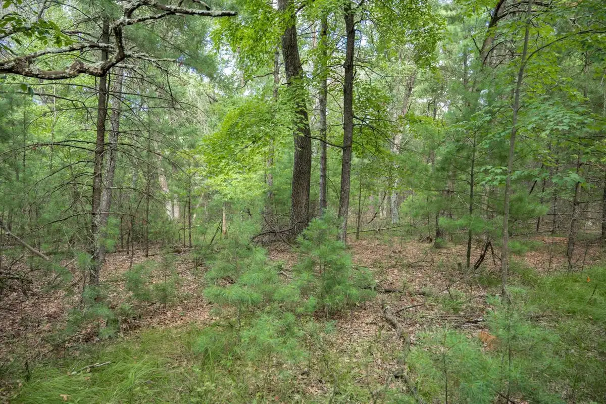 Lot 130 19th Pass, Arkdale, WI 54613 - #1