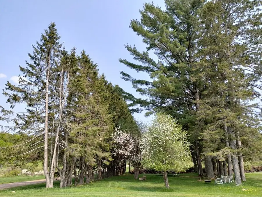 12279 Stangle Road, Butternut, WI 54514 - #3