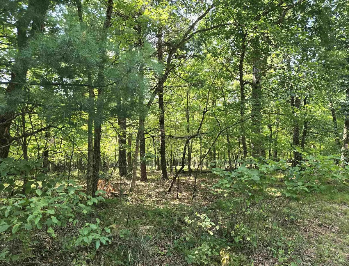 Lot 6 Aspen Drive, Leola, WI 53934 - #1