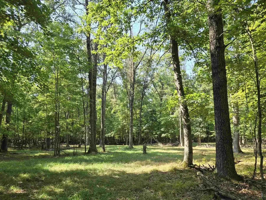 Lot 6 Aspen Drive, Leola, WI 53934 - #2