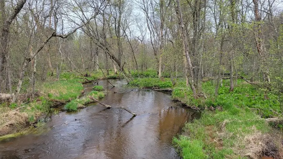 Lot 6 Aspen Drive, Leola, WI 53934 - #3