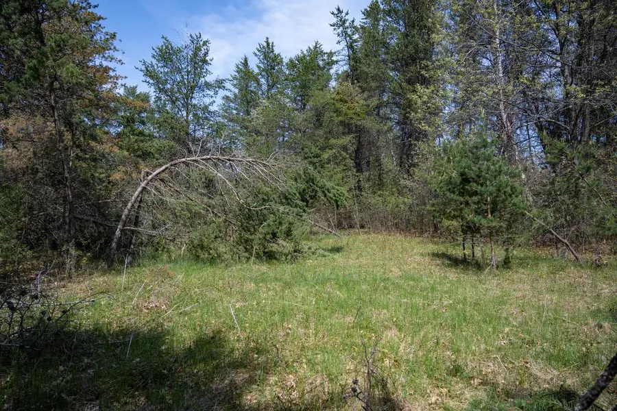 W5533 Windover Court, New Lisbon, WI 53950 - #2