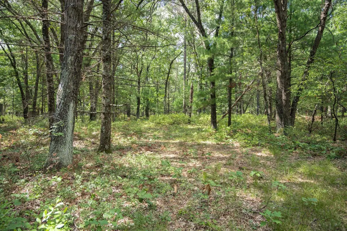 16.36 acres 7th Avenue, New Lisbon, WI 53950 - #1